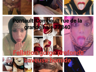 transgender-hayfa-du77-beurette