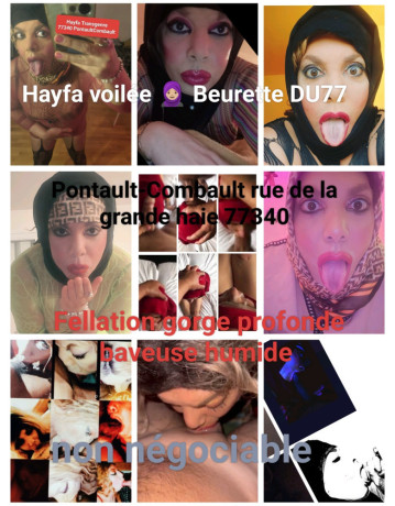 transgender-hayfa-du77-beurette-big-0