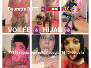 hayfa-voilee-beurette-transgender-du77