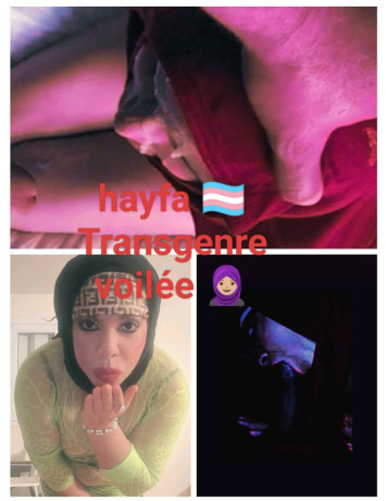 hayfa-voilee-beurette-transgender-du77-big-2