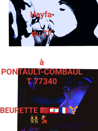 hayfa-voilee-beurette-transgender-du77-big-1