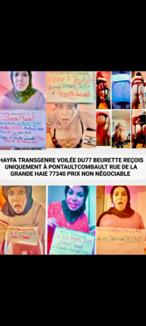 transgenrre-passif-hayfa-voilee-big-1