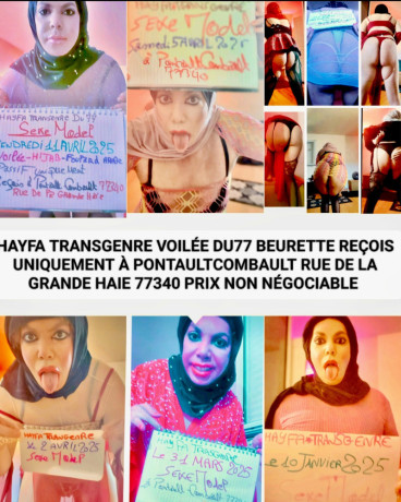 transgenrre-passif-hayfa-voilee-du-77-big-1