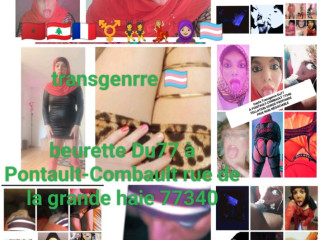 hayfa-voilee-transgenrre-passif