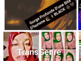hayfa-voilee-transgenrre-du77