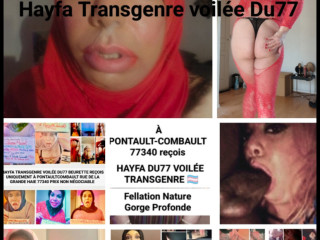 transgenrre-du77-hayfa-voilee-beurette