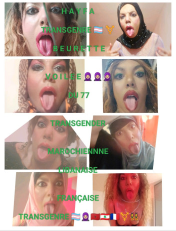 hayfa-voilee-transgenrre-du77-big-1