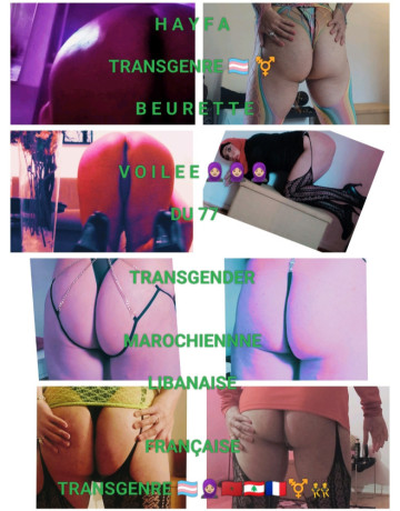 hayfa-voilee-transgenrre-du77-big-2