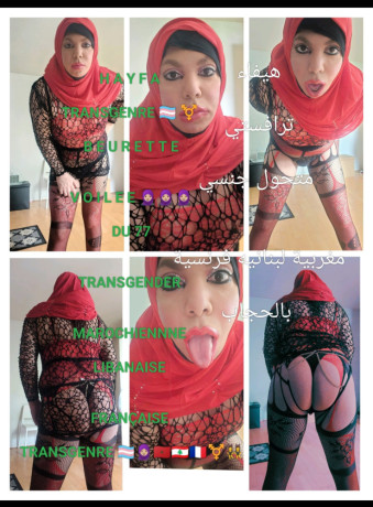 hayfa-voilee-transgenrre-du77-big-4