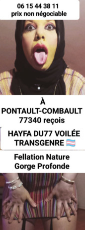 pontaultcombault-77340-big-0