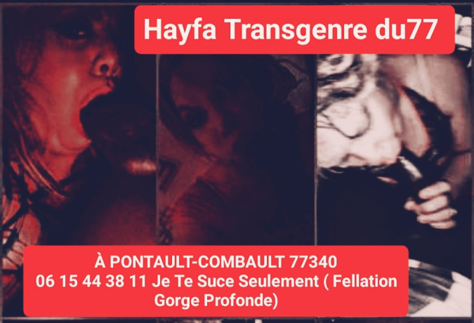 rue-de-la-grande-haie-77340-big-4