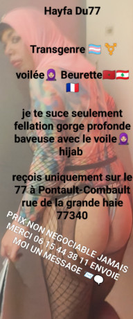 suceuse-de-chibre-prix-non-negociable-big-2