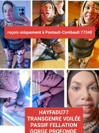 je-recois-uniquement-sur-le-77-a-pontault-combault-rue-de-la-grande-haie-big-1